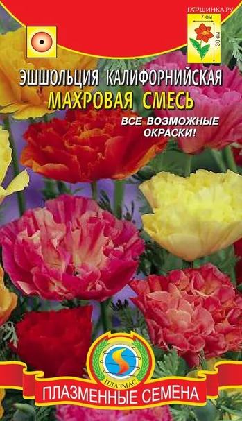 Эшшольция калифорнийская махровая смесь