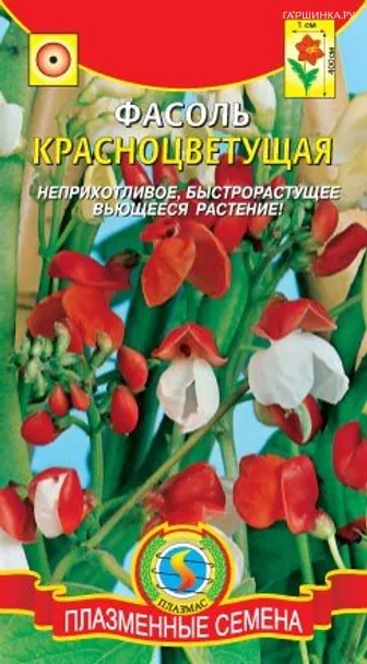 Фасоль Красноцветущая декоративная