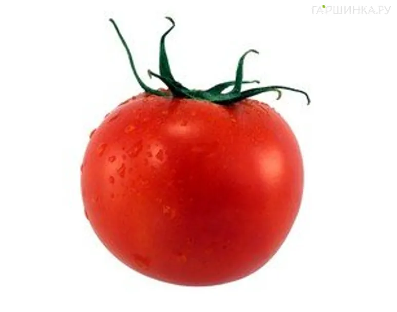 Томат Марфа F1