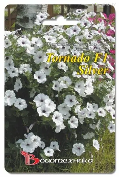 Петуния Торнадо Сильвер  F1 каскадная