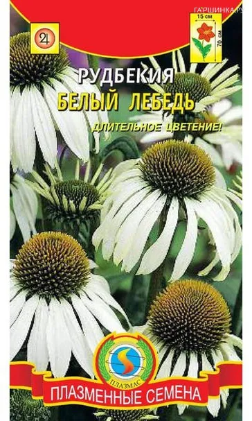 Рудбекия Белый лебедь