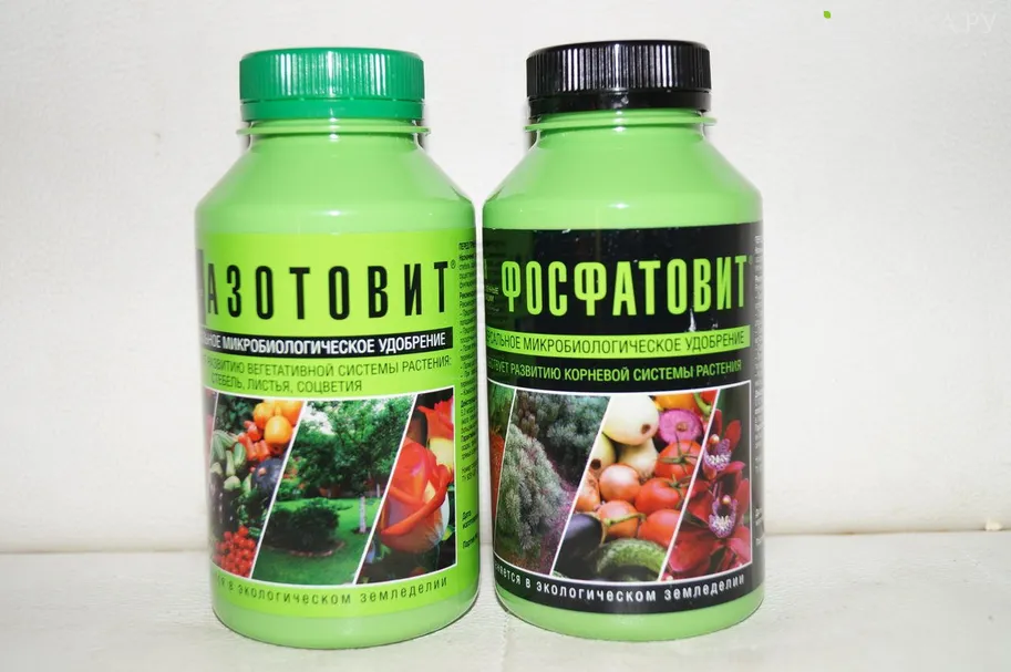 Азотовит 0,2л + Фосфатовит 0,2л