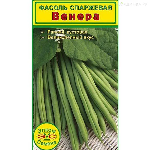 Фасоль спаржевая Венера (5 гр.)