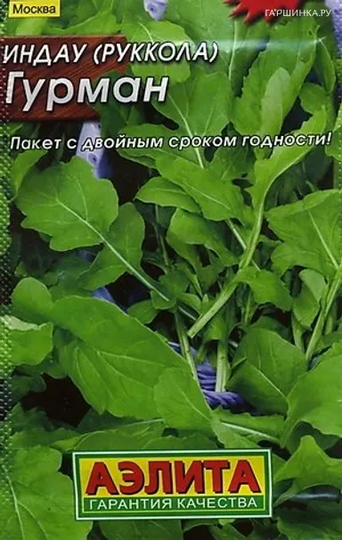 Руккола (Индау) Гурман