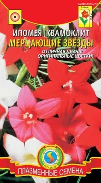 Ипомея квамоклит Мерцающие звезды