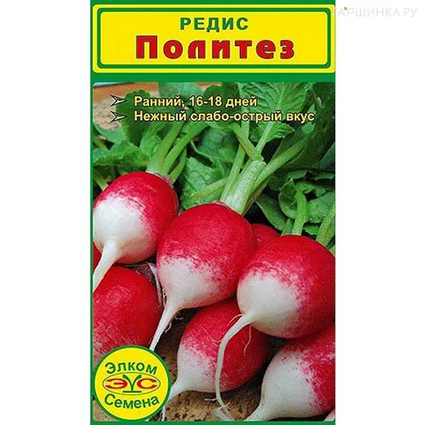 Редис Политез (2 гр.)