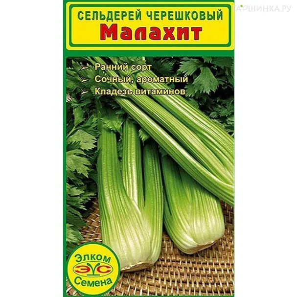 Сельдерей черешковый Малахит (0,5 гр.)