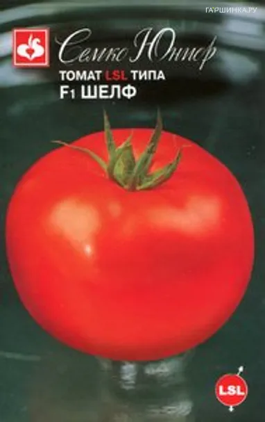 Томат Шелф F1