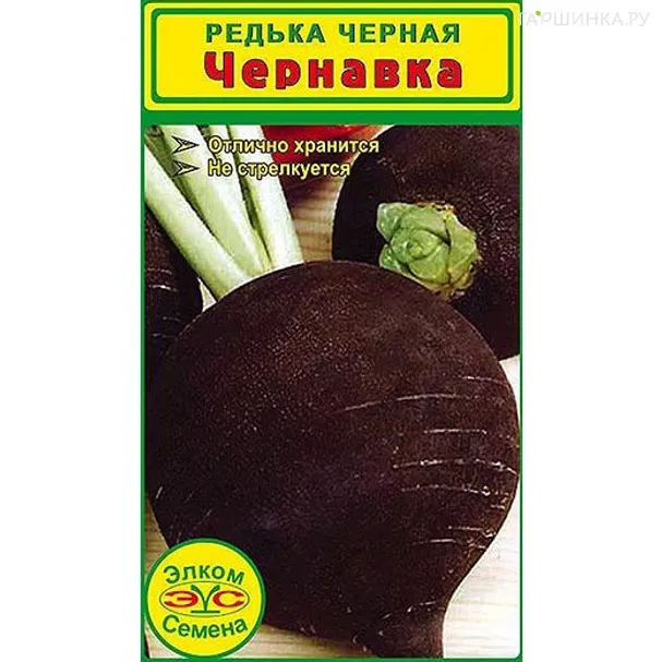 Редька черная Чернавка (2 гр.)