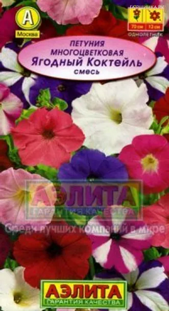 Петуния Ягодный коктейль