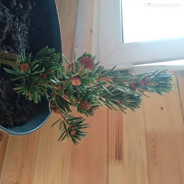 превью изображения отзыва