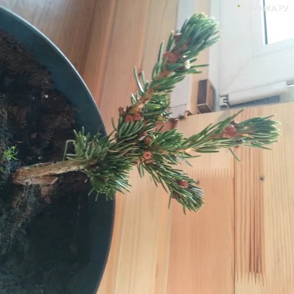 превью изображения отзыва