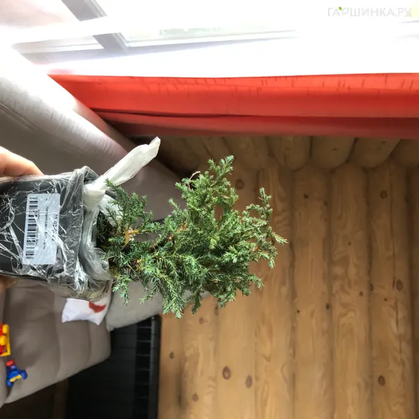 превью изображения отзыва