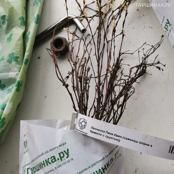 превью изображения отзыва