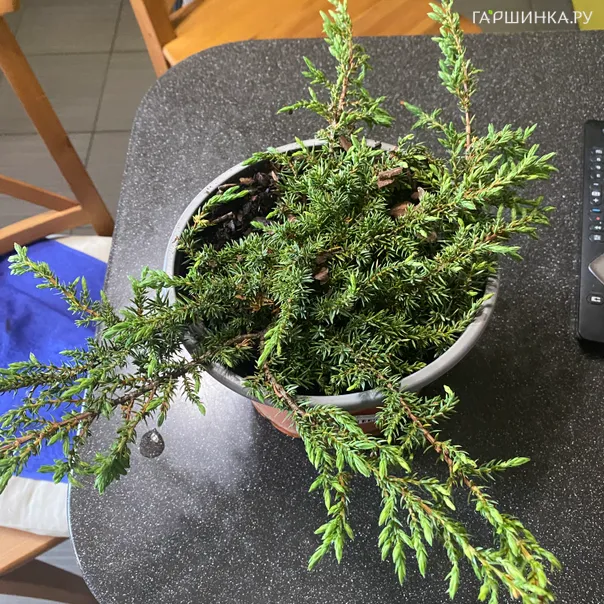 превью изображения отзыва