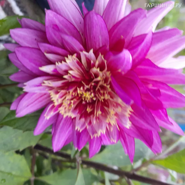 превью изображения отзыва