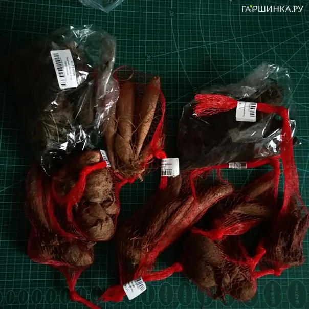 превью изображения отзыва