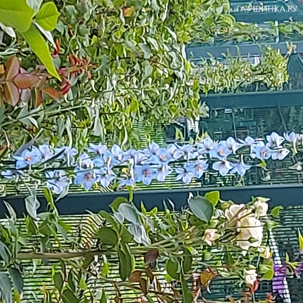 превью изображения отзыва