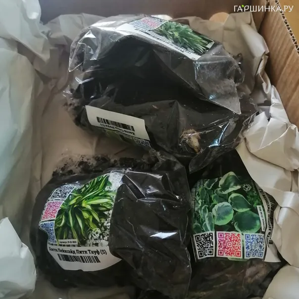 превью изображения отзыва