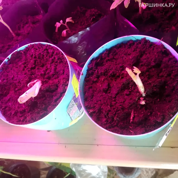 превью изображения отзыва