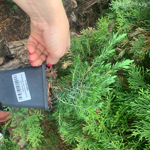 превью изображения отзыва