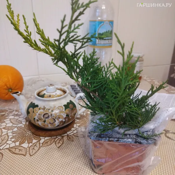 превью изображения отзыва