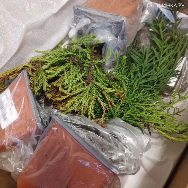 превью изображения отзыва