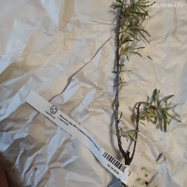 превью изображения отзыва