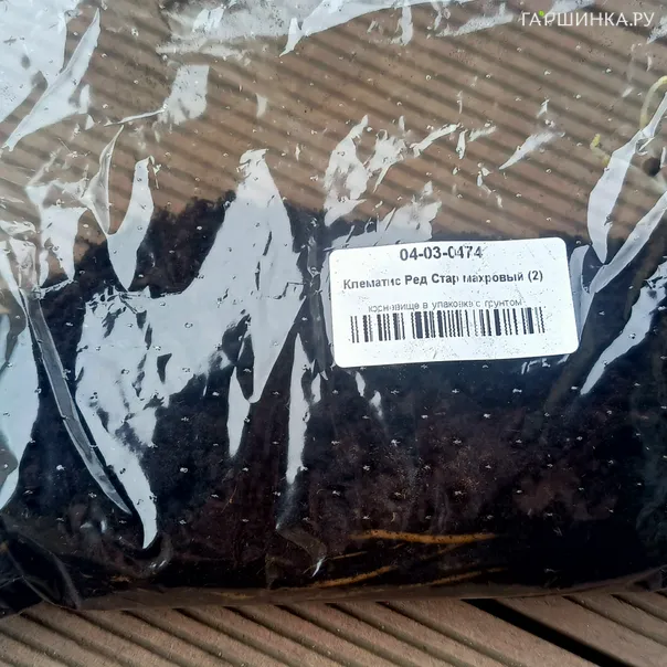 превью изображения отзыва