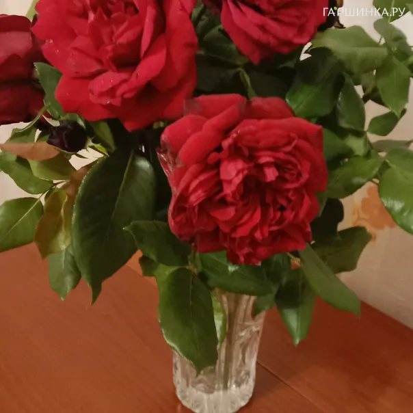 превью изображения отзыва