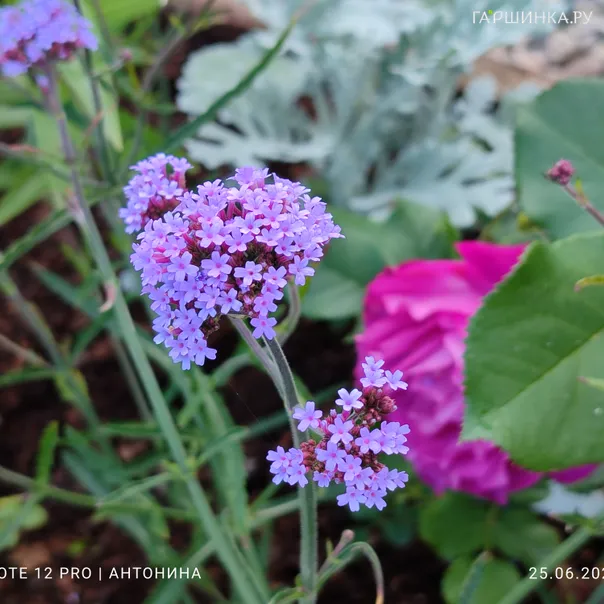 превью изображения отзыва