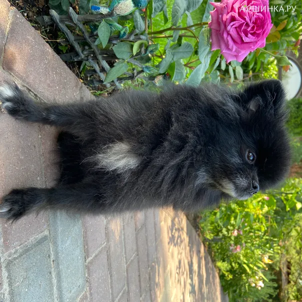 превью изображения отзыва