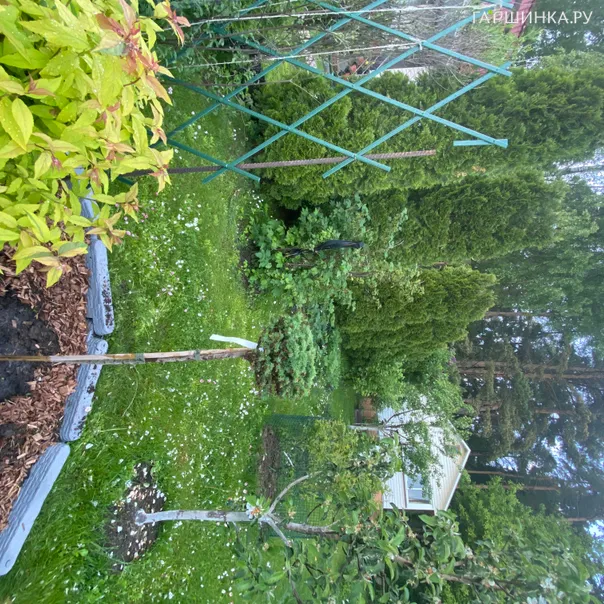 превью изображения отзыва