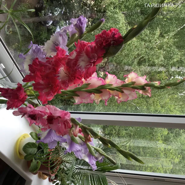 превью изображения отзыва