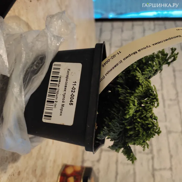 превью изображения отзыва