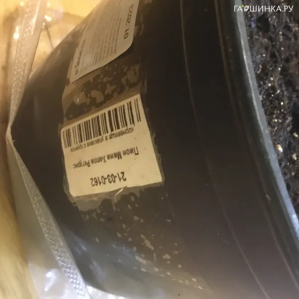 превью изображения отзыва