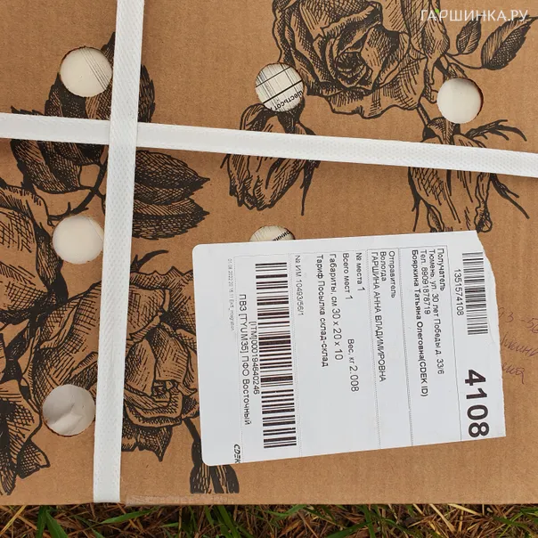 превью изображения отзыва