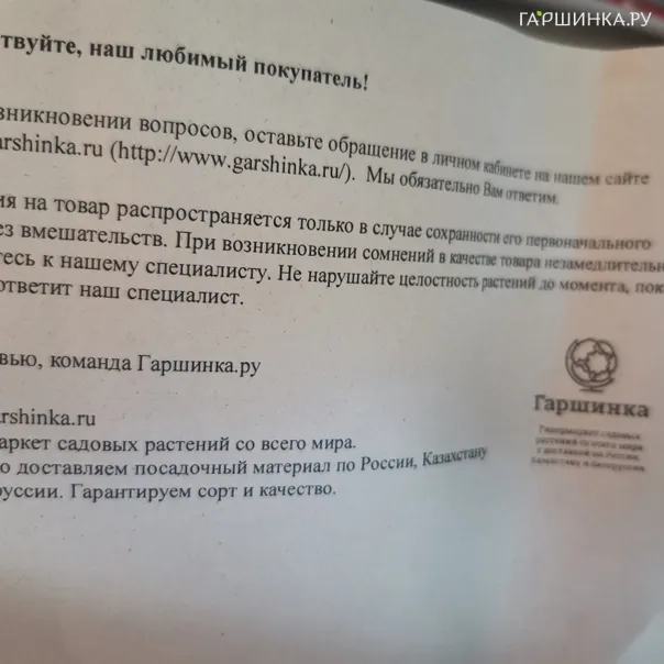 превью изображения отзыва