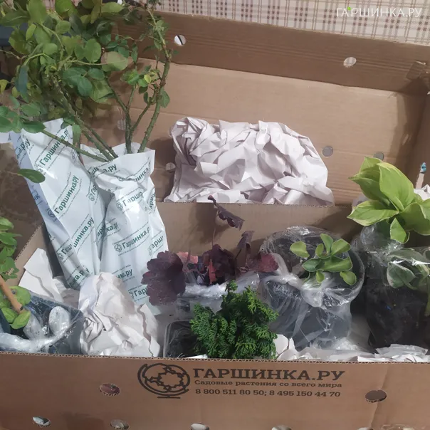 превью изображения отзыва