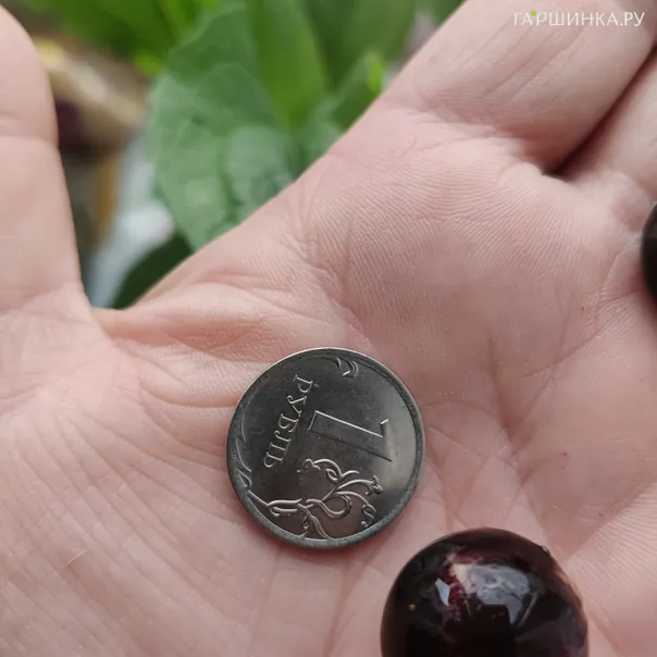 превью изображения отзыва