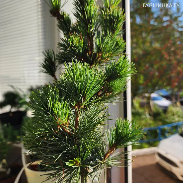 превью изображения отзыва