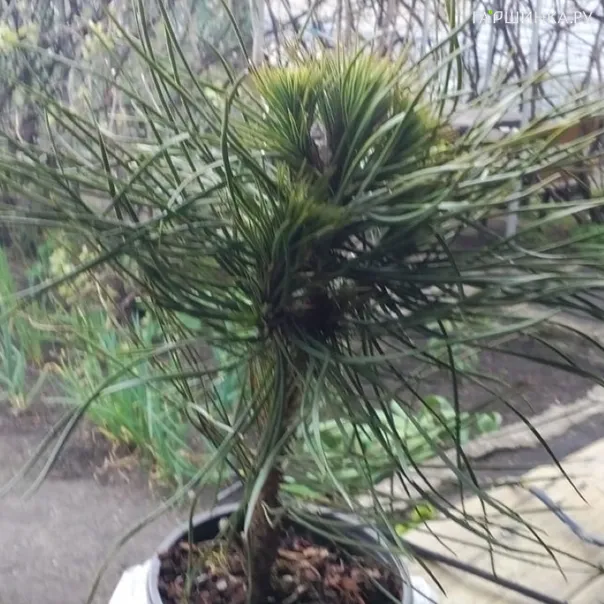 превью изображения отзыва