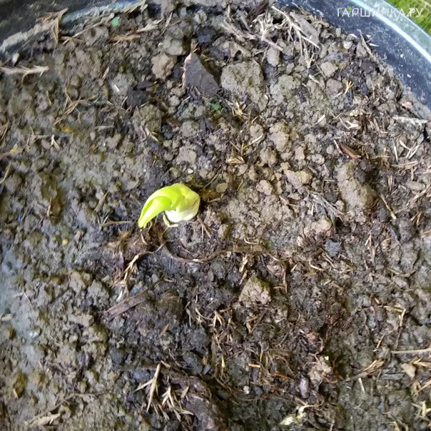 превью изображения отзыва