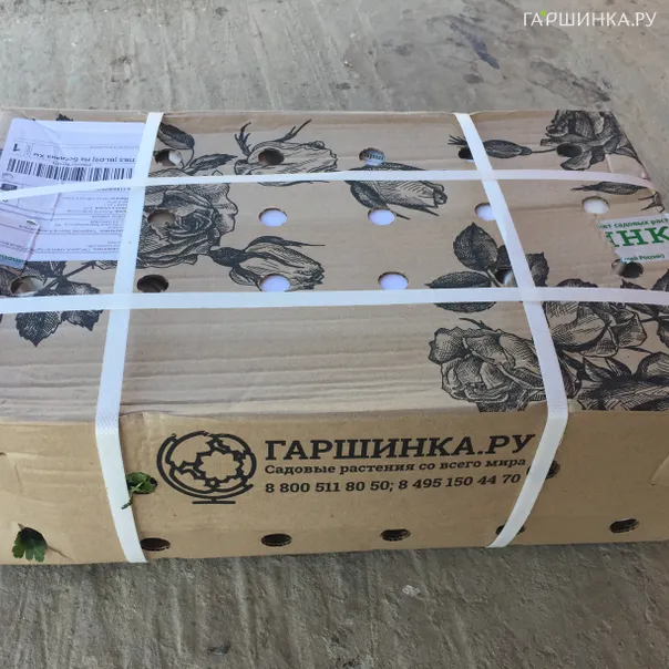 превью изображения отзыва