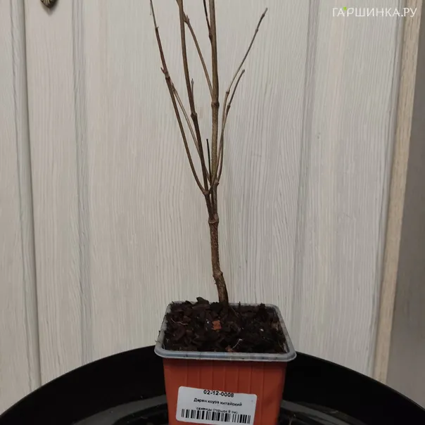 превью изображения отзыва