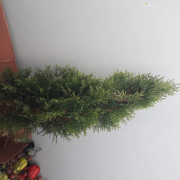 превью изображения отзыва