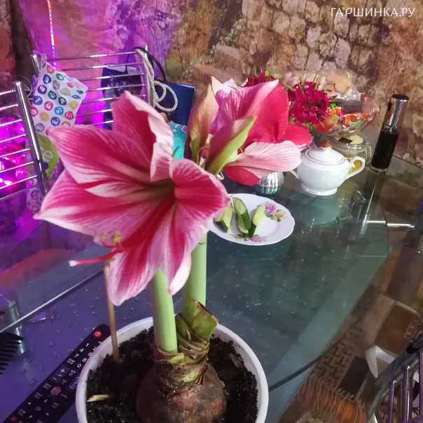 превью изображения отзыва