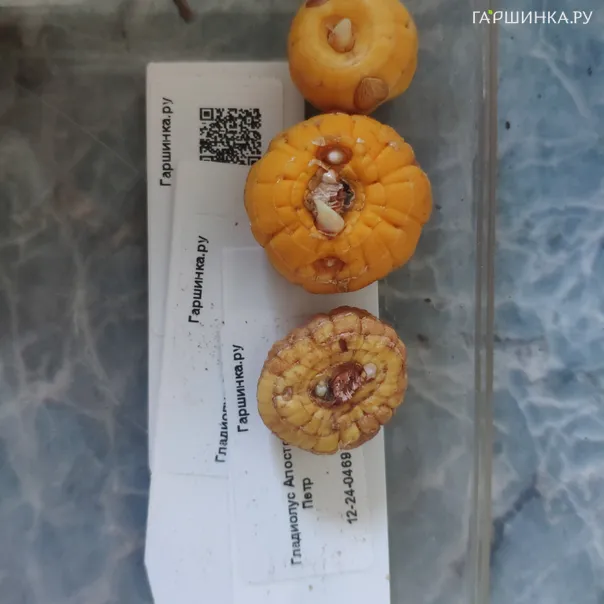 превью изображения отзыва