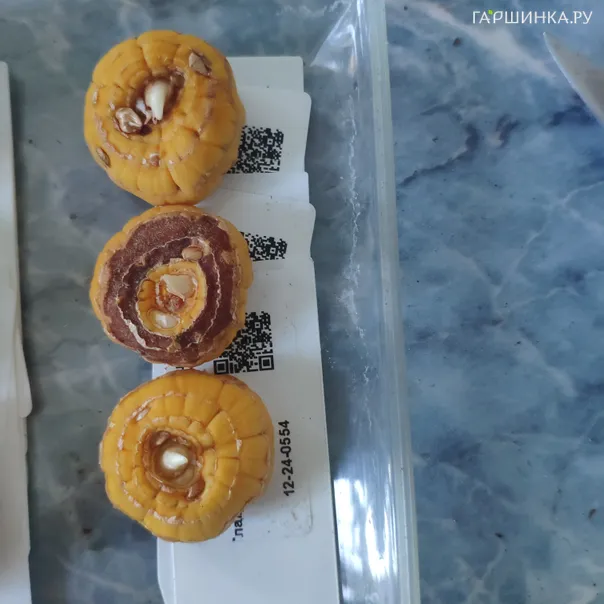 превью изображения отзыва