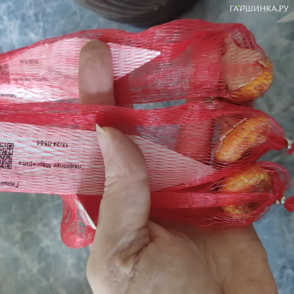 превью изображения отзыва